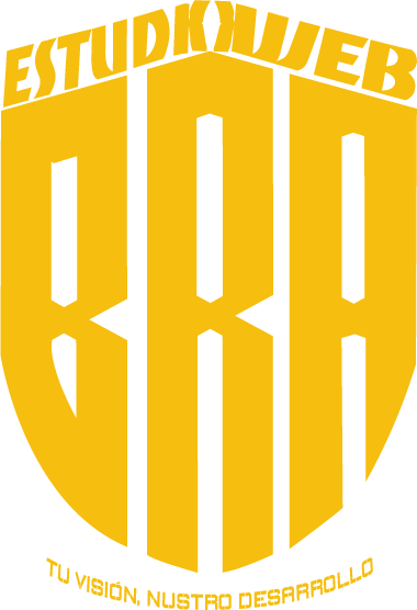 BRA ESTUDIO WEB Logo